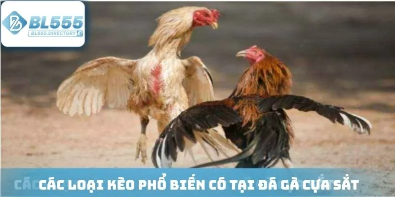 Trò chơi cung cấp đa dạng kèo cược hấp dẫn