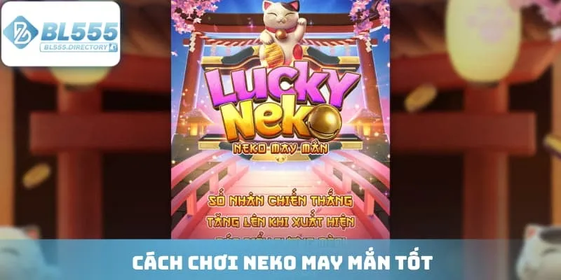 Cách chơi Neko may mắn tốt