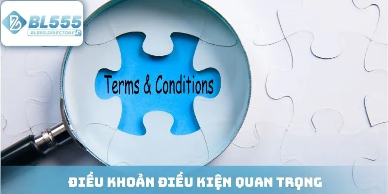 Điều khoản điều kiện quan trọng cần nghiên cứu