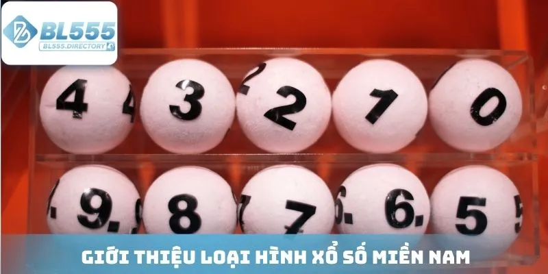 Giới thiệu loại hình xổ số được yêu thích tại nền tảng