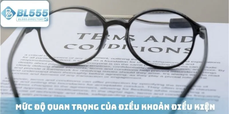 Mức độ quan trọng cần biết về điều khoản điều kiện