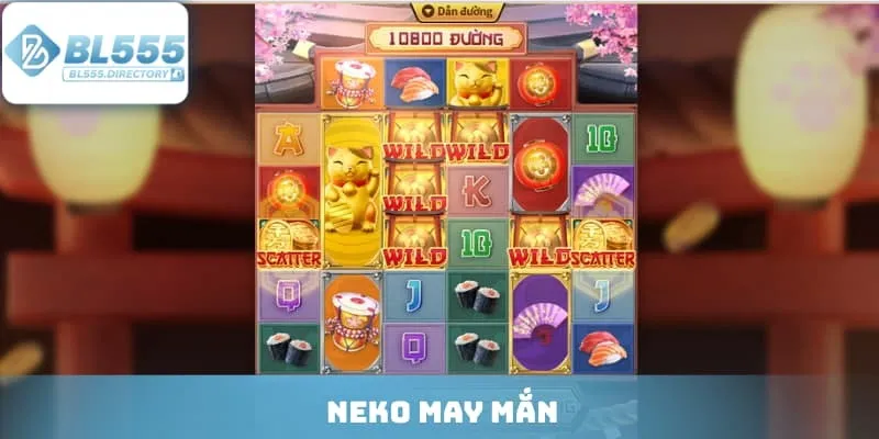 neko may mắ