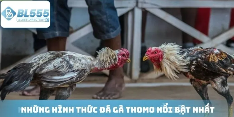Sân chơi mang lại nhiều hình thức hấp dẫn