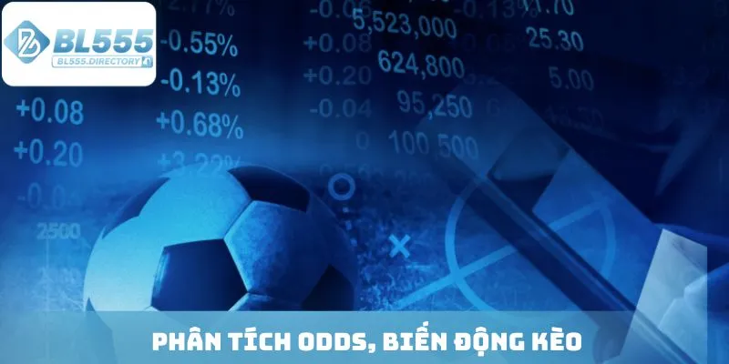 Phân tích Odds, biến động kèo