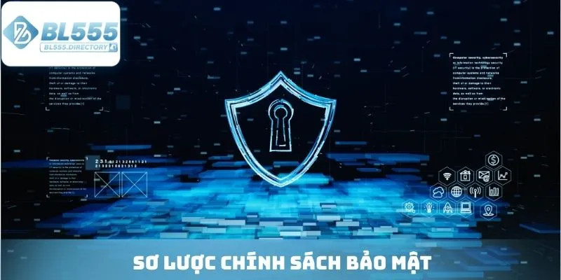 Sơ lược chính sách bảo mật
