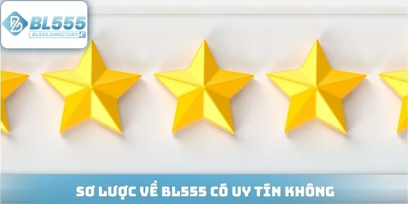 Sơ lược về BL555 có uy tín không