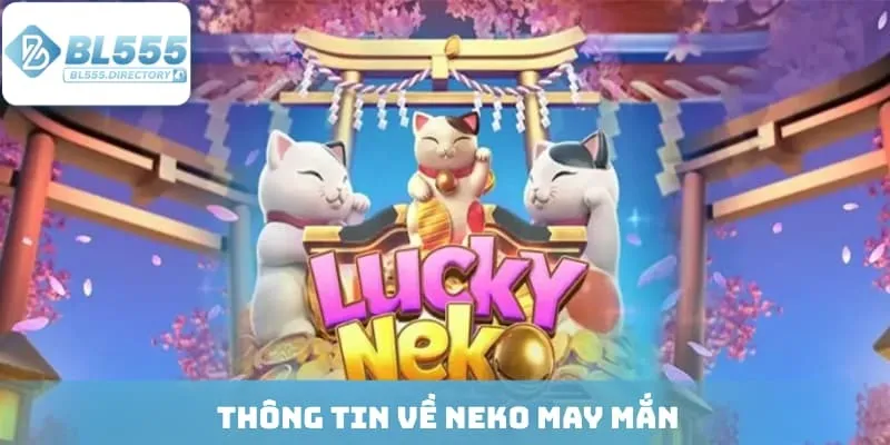 Thông tin về Neko may mắn